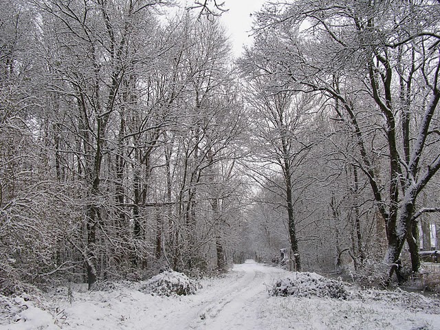 campagne%20cormery%20.jpg