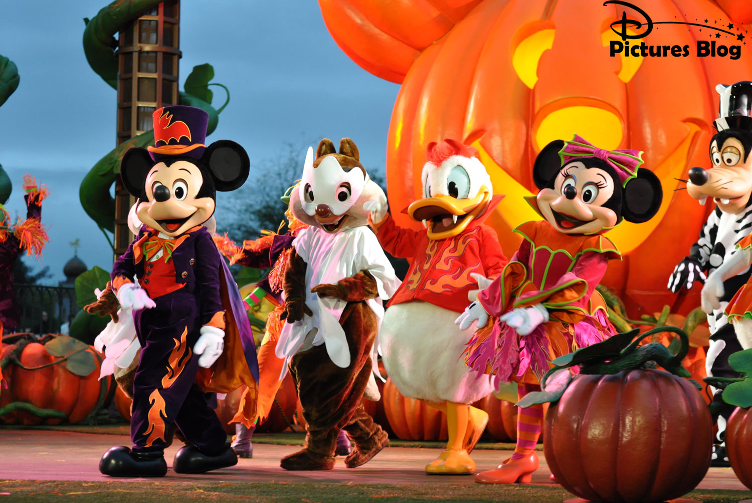 mickey - [Le Théâtre du Château] Mickey et sa Surprise-Partie d'Halloween (1er-31 octobre 2011) - Page 3 Mod_article14757281_17