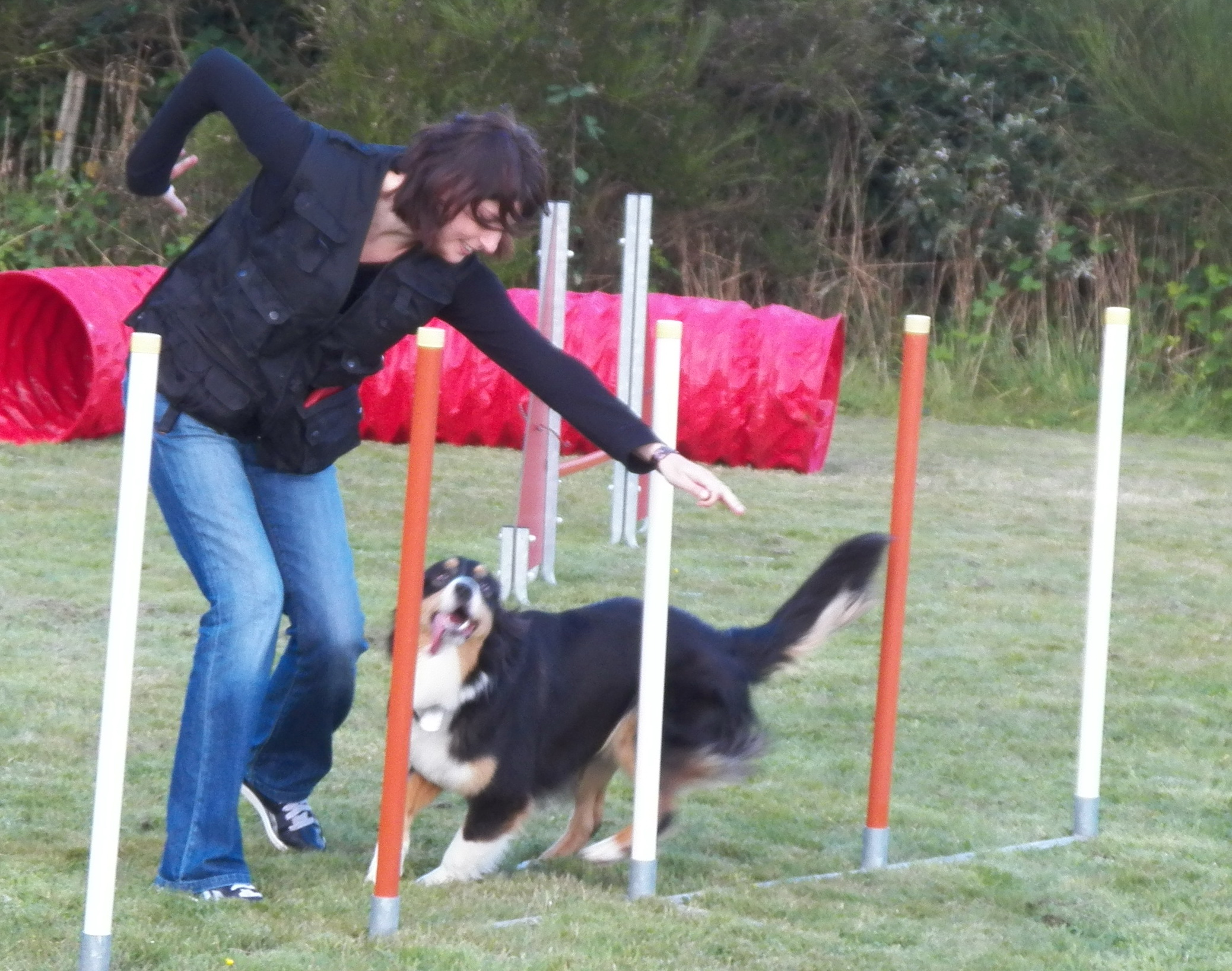 Gipsy Cours d'agility 28/08/2012