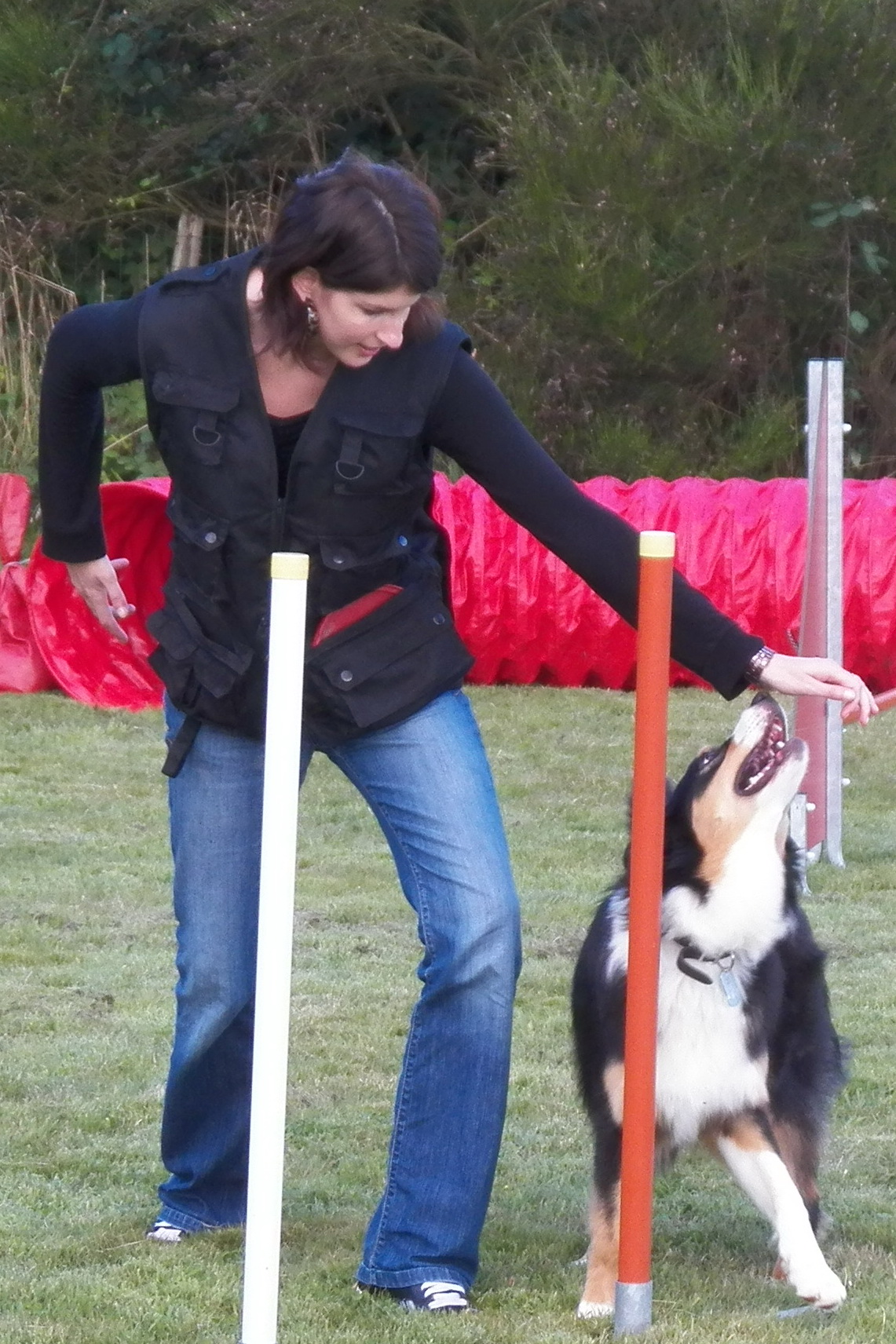 Gipsy Cours d'agility 28/08/2012
