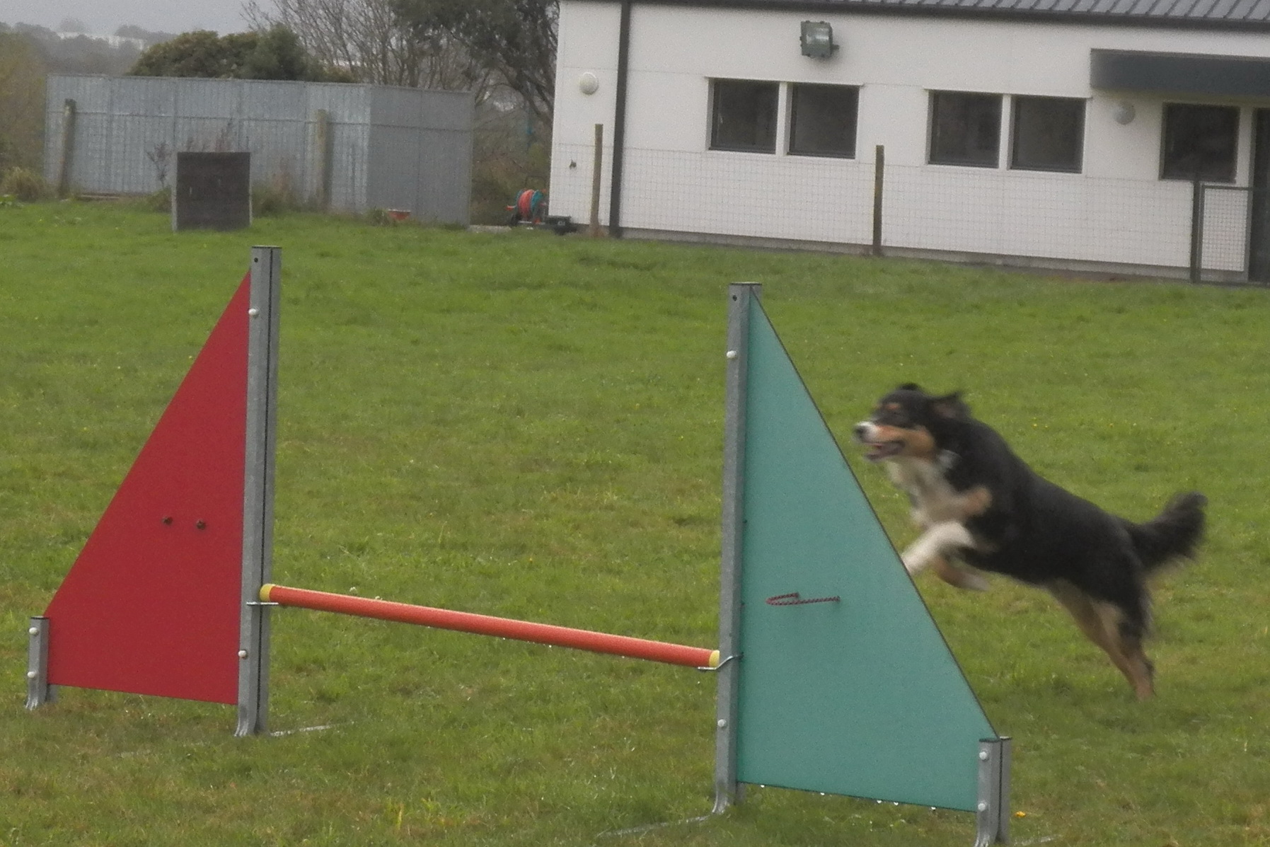 Cours d'Agility sous la pluie