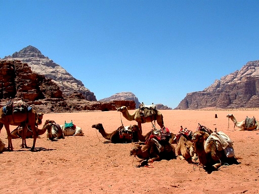 Jordanie : Le Wadi-Rum,un site naturel reconnu par l'Unesco en 2011 