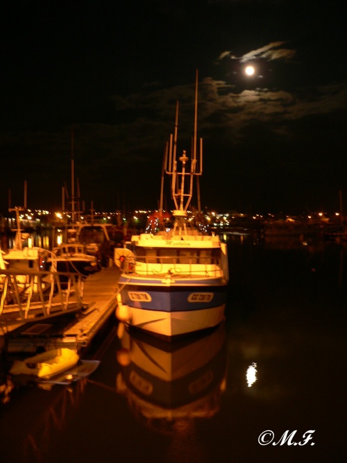 Port Nocturne 2010