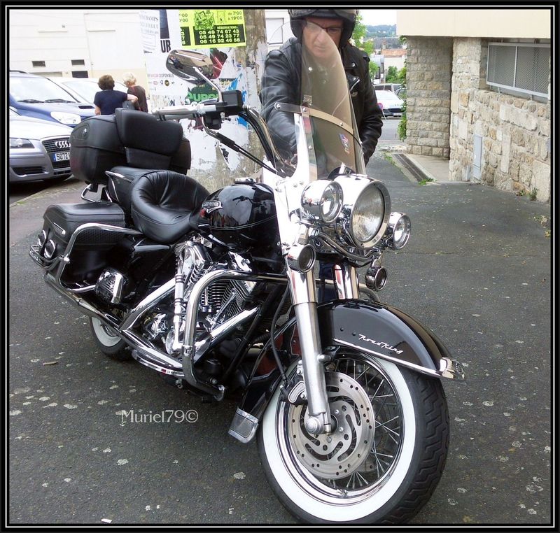 Harley 17 07 2012