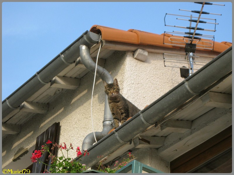 cana chat Puede que esté utilizando un explorador que finalizará esta sesión de chat al abandonar esta pantalla para asegurar un chat completo, deje abierta esta pantalla. cana chat Puede que esté utilizando un explorador que finalizará esta sesión de chat al abandonar esta pantalla para asegurar un chat completo, deje abierta esta pantalla.